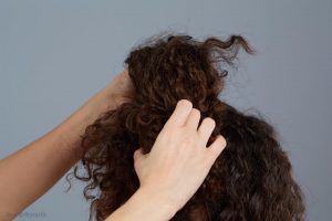 תסרוקת מלכותית